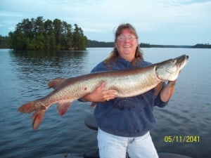 A 47 Inch Musky At Hideaway Lodge