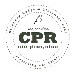 Catch, Picture, Release Badge